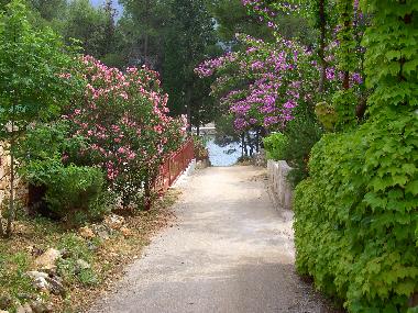 Maison de vacances /en/au Stari Grad (Splitsko-Dalmatinska)ou appartement ou maison de vacances