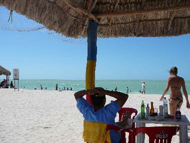 Maison de vacances �/en/au Merida (Yucatan)ou appartement ou maison de vacances