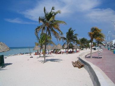 Maison de vacances �/en/au Merida (Yucatan)ou appartement ou maison de vacances