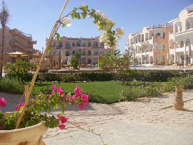 Appartement de vacances �/en/au sharm el sheikh (Shamal Sina