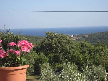 Maison de vacances /en/au Krnica  (Istarska)ou appartement ou maison de vacances