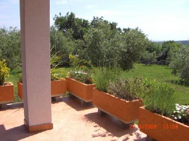 Maison de vacances /en/au Krnica  (Istarska)ou appartement ou maison de vacances