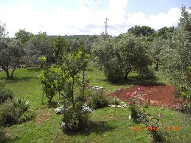 Maison de vacances /en/au Krnica  (Istarska)ou appartement ou maison de vacances