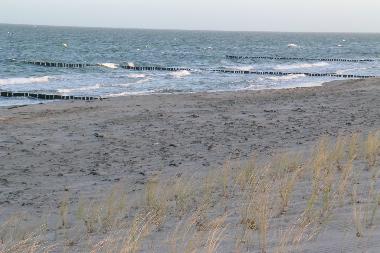 Appartement de vacances �/en/au Zingst (Fischland-Dar�-Zingst)ou appartement ou maison de vacances