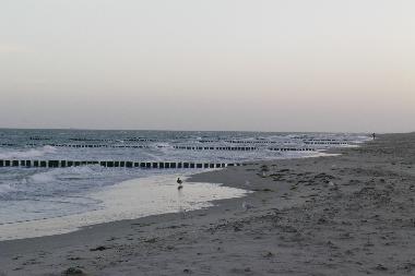 Appartement de vacances �/en/au Zingst (Fischland-Dar�-Zingst)ou appartement ou maison de vacances