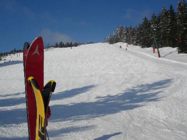 Appartement de vacances /en/au Freudenstadt (Schwarzwald)ou appartement ou maison de vacances