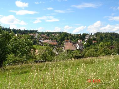 Appartement de vacances /en/au Freudenstadt (Schwarzwald)ou appartement ou maison de vacances