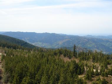 Appartement de vacances /en/au Freudenstadt (Schwarzwald)ou appartement ou maison de vacances