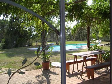 Appartement de vacances �/en/au Castelnuovo Berardenga (Siena)ou appartement ou maison de vacances