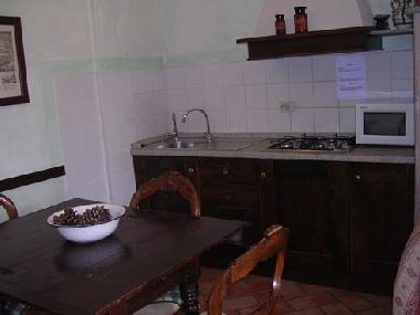 Appartement de vacances �/en/au Castelnuovo Berardenga (Siena)ou appartement ou maison de vacances