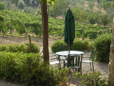 Appartement de vacances �/en/au Castelnuovo Berardenga (Siena)ou appartement ou maison de vacances