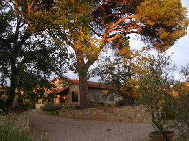 Appartement de vacances �/en/au Castelnuovo Berardenga (Siena)ou appartement ou maison de vacances