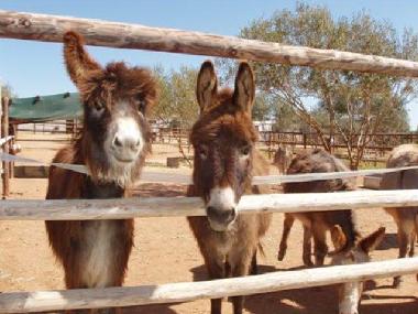 Maison de vacances /en/au Montefrio (Granada)ou appartement ou maison de vacances
