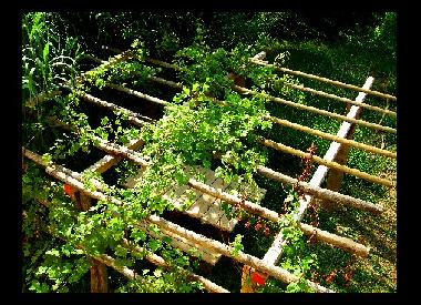 La pergola au jardin (400 m2) pour barbecue et loisir