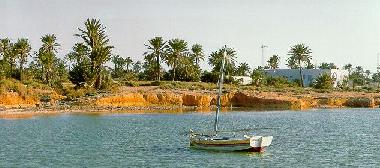 Appartement de vacances �/en/au �le de Kerkennah (Safaqis)ou appartement ou maison de vacances