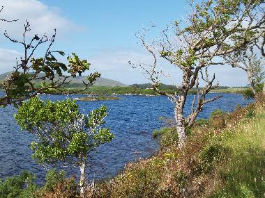 Maison de vacances �/en/au Fanad (Donegal)ou appartement ou maison de vacances