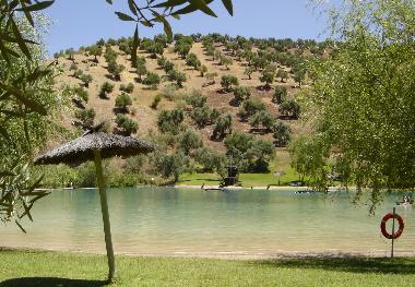 Maison de vacances �/en/au Ronda (M�laga)ou appartement ou maison de vacances