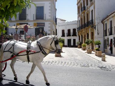 Maison de vacances �/en/au Ronda (M�laga)ou appartement ou maison de vacances