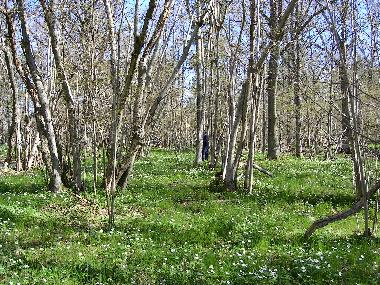 Maison de vacances �/en/au Harstena Gryt (�sterg�tland)ou appartement ou maison de vacances