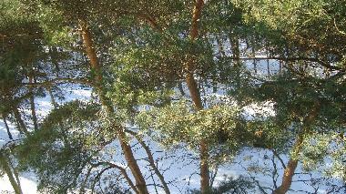 Appartement de vacances /en/au Swinoujscie (Zachodniopomorskie)ou appartement ou maison de vacances