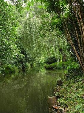 Maison de vacances �/en/au Burg Spreewald (Spree-Nei�e)ou appartement ou maison de vacances