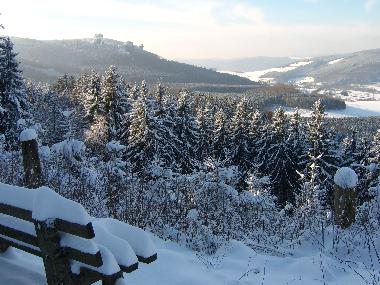 Appartement de vacances /en/au Olsberg/Bruchhausen (Sauerland)ou appartement ou maison de vacances