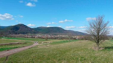Les photos au dessus du gte