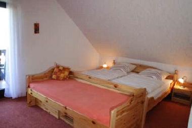 Appartement de vacances /en/au Olsberg/Bruchhausen (Sauerland)ou appartement ou maison de vacances