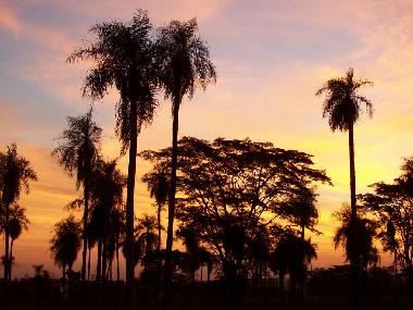 Chambre avec petit d�jeuner �/en/au J.A Sandivar (Asuncion)ou appartement ou maison de vacances