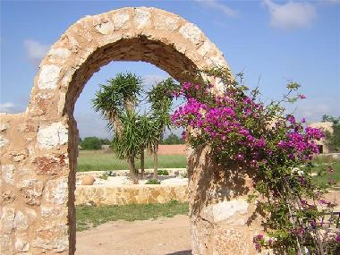 Maison de vacances �/en/au Felanitx (Mallorca)ou appartement ou maison de vacances