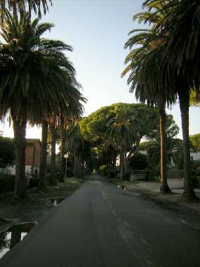 Maison de vacances /en/au Marina di Castagneto (Livorno)ou appartement ou maison de vacances