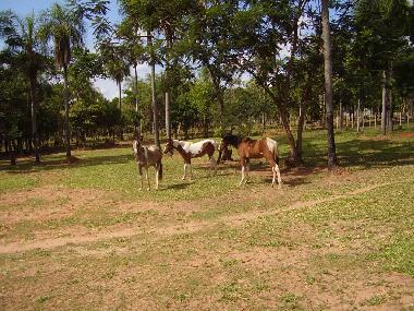 Maison de vacances �/en/au Piribebuy (Cordillera)ou appartement ou maison de vacances