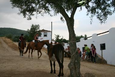 Maison de vacances �/en/au Faia, Guarda (Serra da Estrela)ou appartement ou maison de vacances