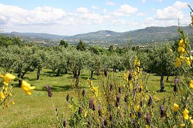 Maison de vacances �/en/au Faia, Guarda (Serra da Estrela)ou appartement ou maison de vacances