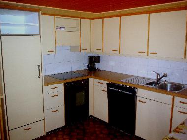 Appartement de vacances �/en/au Burglauenen (Grindelwald - Jungfrau)ou appartement ou maison de vacances