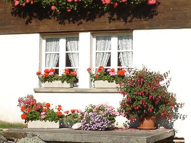 Appartement de vacances �/en/au Burglauenen (Grindelwald - Jungfrau)ou appartement ou maison de vacances