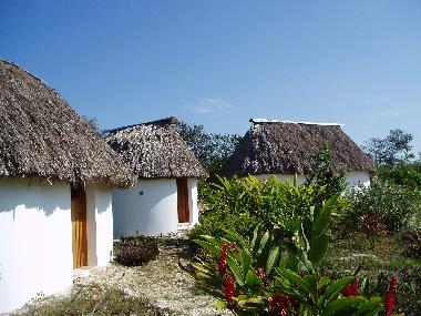 Maison de vacances �/en/au Chunkan�n near Cuzam� (Yucatan)ou appartement ou maison de vacances
