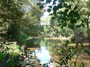 Peterson Creek 