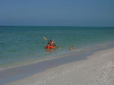 H�tel �/en/au Celestun (Yucatan)ou appartement ou maison de vacances