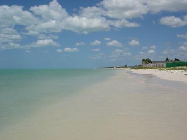 H�tel �/en/au Celestun (Yucatan)ou appartement ou maison de vacances