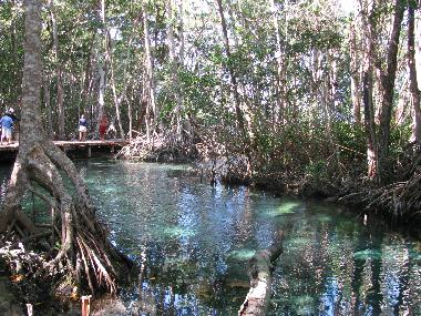 H�tel �/en/au Celestun (Yucatan)ou appartement ou maison de vacances