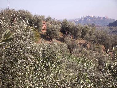 Maison de vacances /en/au Montecatini Terme (Pistoia)ou appartement ou maison de vacances