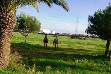 Maison de vacances �/en/au ciutadella De menorca (Menorca)ou appartement ou maison de vacances
