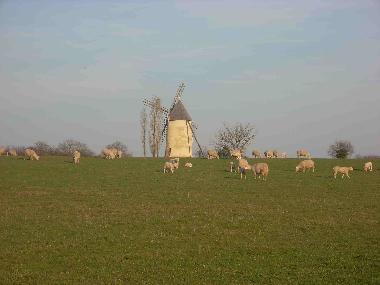 Maison de vacances �/en/au St Cyr Des Gats (Vend�e)ou appartement ou maison de vacances