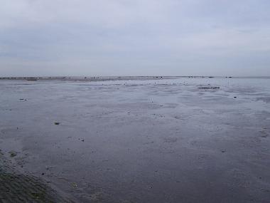 Maison de vacances �/en/au Oostmahorn (Friesland)ou appartement ou maison de vacances