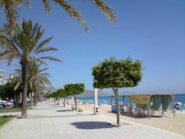 Appartement de vacances �/en/au Altea (Alicante / Alacant)ou appartement ou maison de vacances