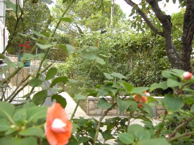 Appartement de vacances �/en/au Vantacici (Primorsko-Goranska)ou appartement ou maison de vacances