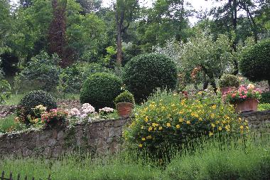 Maison de vacances �/en/au Cortona (Arezzo)ou appartement ou maison de vacances