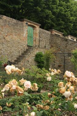 Maison de vacances �/en/au Cortona (Arezzo)ou appartement ou maison de vacances