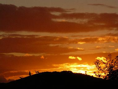 Maison de vacances �/en/au cheddar (South West)ou appartement ou maison de vacances